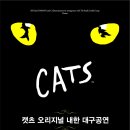 [대구] Musical 캣츠(CATS) 캣츠 오리지널 내한 대구공연 이미지