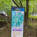 평화의소식 | 아이와 같이 가기 좋은 안양 수리산 산행 후기