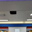 용인대 동아태권도장 이미지