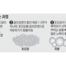 가양헬스클럽 이미지