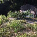 밀마운트농장 이미지