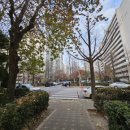 21세기공인중개사사무소 이미지