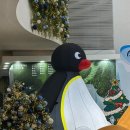 휘닉스 평창 콘도미니엄 | 휘닉스 평창 스카이 스탠다드 패키지 후기 (콘도 1박 + 조식 + 라이트 리프트&amp;장비 + 블루동 사우나)