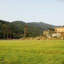 용인자연휴양림4 이미지