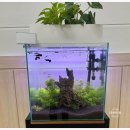 비케이팜 이미지