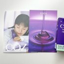주식회사로맨시브 수면연구소 | 식물성 멜라토닌 올리브영 추천템 코자아 젤리 먹고 꿀잠 후기