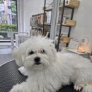 별그룸 이미지