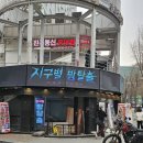 #198 서울 홍대 방탈출 : 지구별방탈출 홍대라스트시티 카부트 후기 / 꽃길 테마