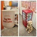 중앙동222 이미지