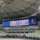 광명스피돔 자전거대여소 | [광명 경륜장] 광명스피돔에서 2025 그랑프리 경륜 결승보고 온 후기 (aka. 경륜은 처음이라)