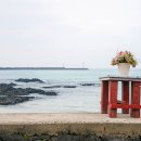 해맞이해안로 이미지