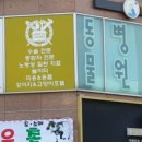 보다듬동물병원 네이버블로그