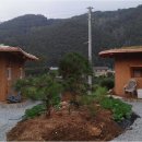 무릉도원면-34 이미지