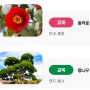 한영고등학교 | (일반고) 한영고등학교 2025 신입생 입학안내, 학교안내​​