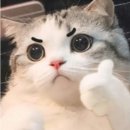 떡제조기능사실기 이미지