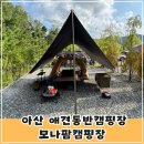 만배네 애견카페 | 충남 아산 애견동반캠핑장 모나팜캠핑장 애견 솔캠 우중캠 즐기기(feat.개별울타리)