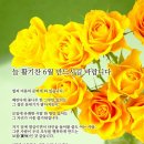 타타타 이미지