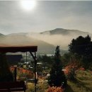 펜션 솔향 이미지