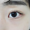 올가드림뷰티만성점 네이버블로그