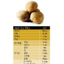 대풍이네