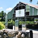 카페포레스트 이미지