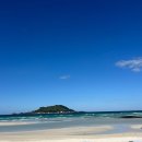 한림민속오일시장(한림오일시장) | 제주시 전통시장 한림민속오일시장 방문기