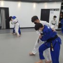 Dream of JuDo 반석유도관 이미지