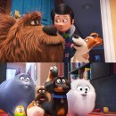 마이펫의 이중생활 이미지