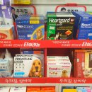 송도반려동물약국 이미지