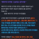 해피키즈유치원 이미지