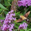 전주가는길 이미지