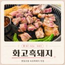 신서로 | 서귀포흑돼지맛집 화고흑돼지｜현지인 흑돼지맛집 숙성흑돼지 내돈내산 솔직후기