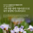 양가네 - 안양시 만안구 안양로 228 | 양가네