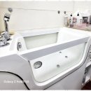 멍뭉살롱 이미지