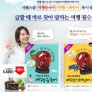 왕초보 여행 영어 이미지