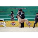 사진카페 2월 이미지