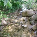 마리농장 이미지