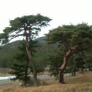 최씨 고가 이미지
