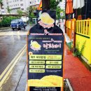 망고레이제주