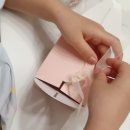 포포모모 이미지