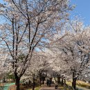 용암천4 이미지