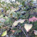 정금농장 이미지