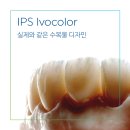 수복디자인 이미지