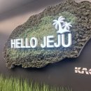 매직노래연습장 | 상반기 결산