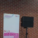 라인시스템 | 대학 축제 무대음향 대여 진행감각에서 라인어레이 시스템 써본 후기