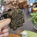 빙도마을 | #1일장터 #망폐 #수정두 #보이차공부 《2023년 임창 망폐 수정두水井头 고수차》 -핵심차구, 추차