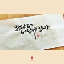오늘도소담 이미지