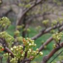 불은면-5 이미지