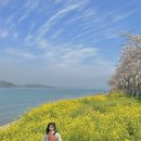 노량나루터 공원 네이버블로그