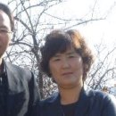 강원실 Daum카페